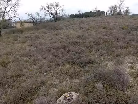 terrain agricole