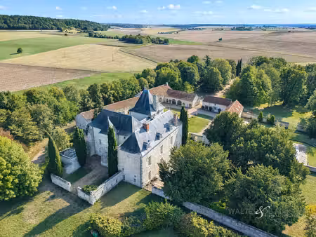 château médiéval en touraine  9 chambres en suite  dépendances de 14 chambres  chapelle pr