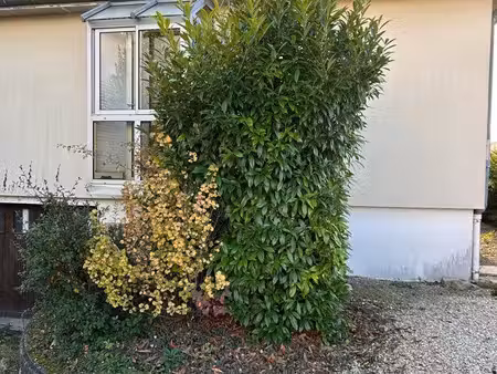maison t 4 à louer