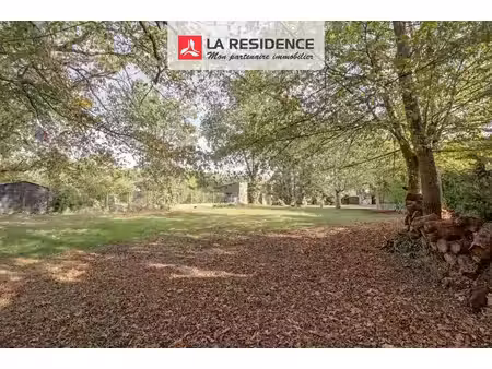 terrain