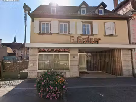 à louer – appartement 61 m² entièrement rénové avec garage