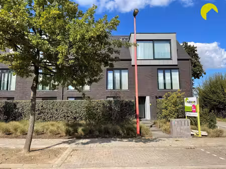 appartement te huur in lint met 2 slaapkamers