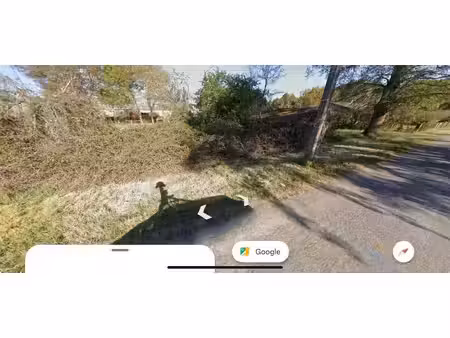 terrain