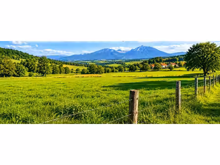 terrain agricole