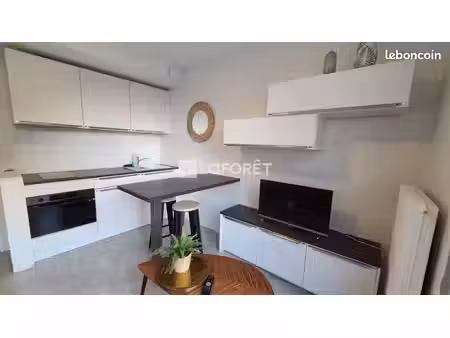 studio 1 pièce 20 m²