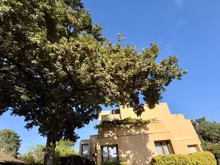 talence t3 rénové 70 75 m2 terrasse 34 m2 balcon par