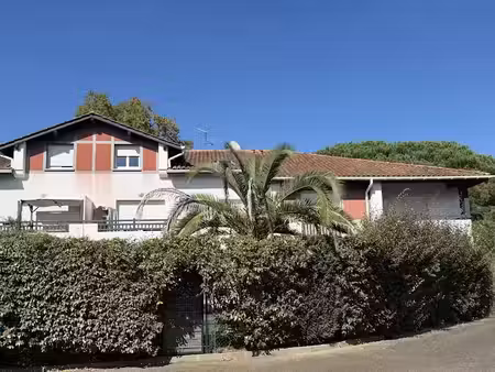vente appartement 2 pièces 61 m² à tosse (40230)  275 000 €
