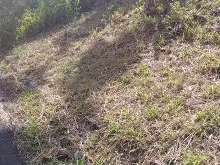 terrain de 689 m 2 a vendre au francois