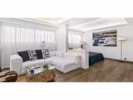 appartement cannes (06)