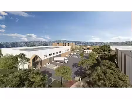 vente local d’activités ézanville 95460 1643m²