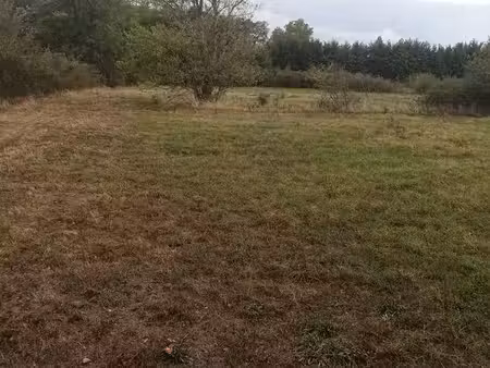 terrain 6896 m² revel