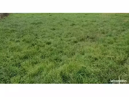 terrain 400 m² hourtin