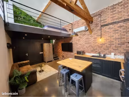loft meublé atypique 38 m² avec mezzanine – bron – 900 cc