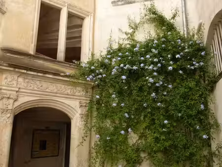 bel appartement centre-ville