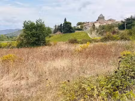 vente terrain 10499 m² à magrie (11300)  75 000 €