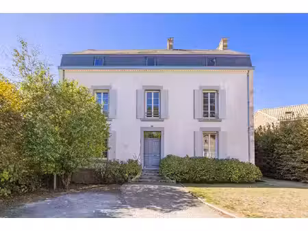 demeure bourgeoise de la fin du xix siècle au coeur de nesmy -330 m2 - 7 chambres - piscin