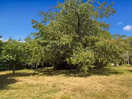 vente terrain 514 m² à elbeuf (76500)  58 500 €