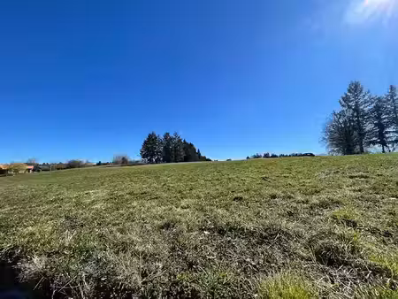 vente terrain à batir 1257 m² à feytiat (87220)  79 570 €