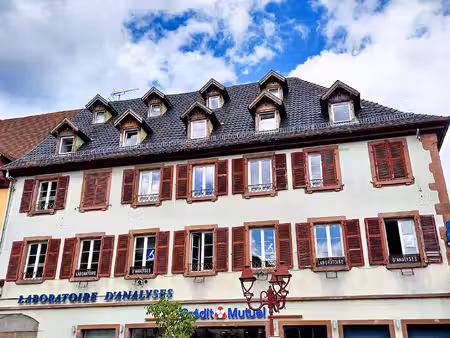charmant f2 meublé de 46 m² au coeur du centre historique de thann