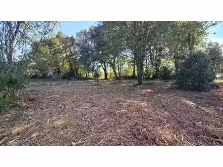 vente terrain 1012 m² à saint-jean-de-marsacq (40230)  155 000 €