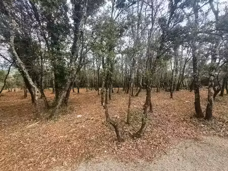 vente terrain 1250 m² à labastide-de-virac (07150)  90 000 €