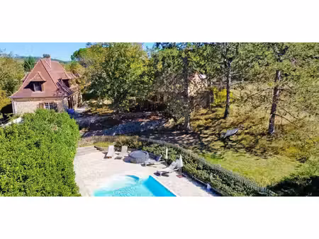 propriété avec piscine mauzens-et-miremont (24)