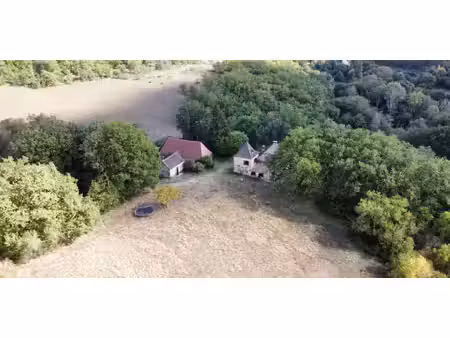 maison avec terrasse trémolat (24)