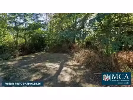 vente terrain 851 m² à saint-pierre-du-mont (40280)  92 000 €