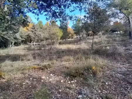 vente terrain 1500 m² à artignosc-sur-verdon (83630)  103 000 €