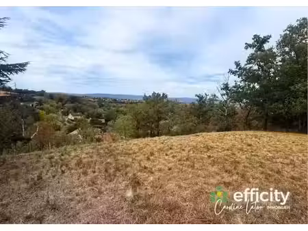 vente terrain 1650 m² à saint-just-saint-rambert (42170)  120 000 €