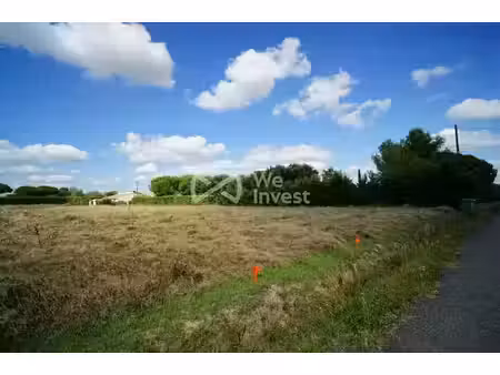vente terrain à batir 986 m² à larra (31330)  120 000 €