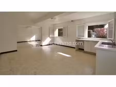 très grande maison à castelmaurou