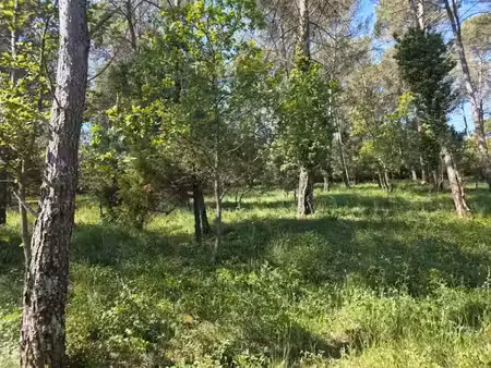 vente terrain 847 m² à garéoult (83136)  140 000 €