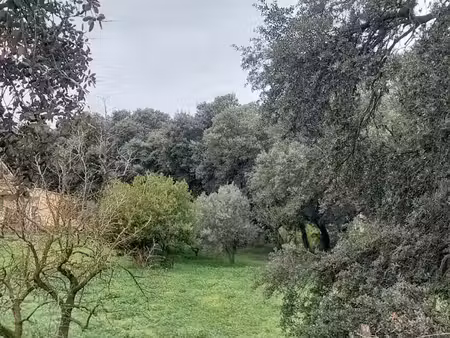 vente terrain 572 m² à la roque-d'anthéron (13640)  142 000 €