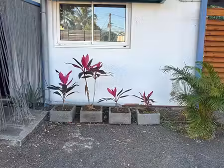 meublé 29m2