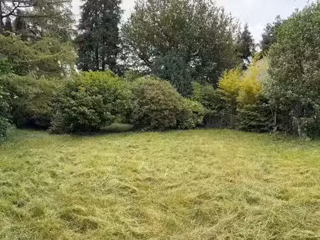 vente terrain 980 m² à le plessis-trévise (94420)  280 000 €