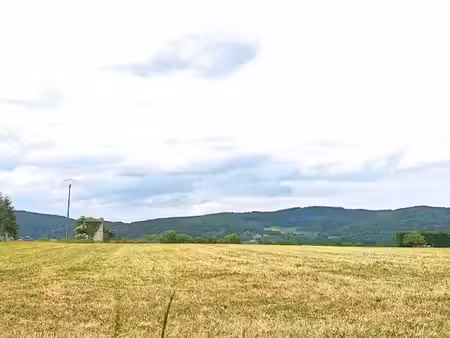 vente terrain 13342 m² à vernoux-en-vivarais (07240)  275 000 €