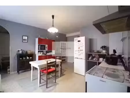 vente maison 4 pièces 124 m² à saint-sernin-sur-rance (12380)  61 000 €
