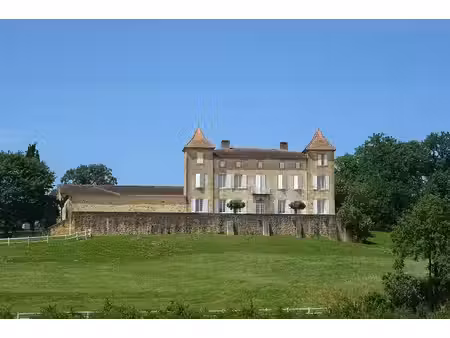 chateau à vendre à condezaygues (47500) - lot-et-garonne