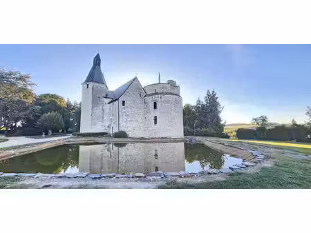 château du xiiè siècle inscrit aux monuments historiques  dé