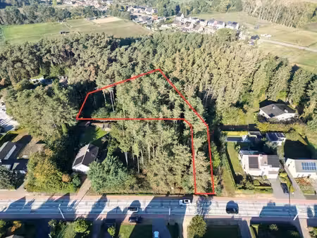 uniek gelegen bouwgrond van maar liefst 19a23ca in messel...