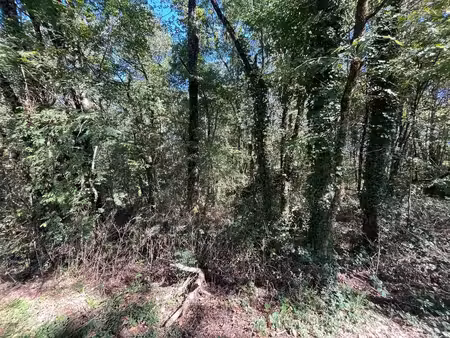 terrain à vendre