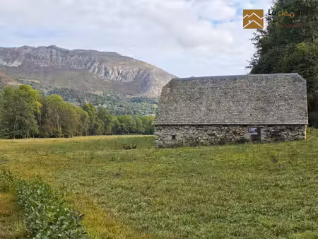 grange foraine sur 1 9 hectare dans le val d'azun !!