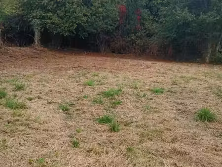 terrain constructible