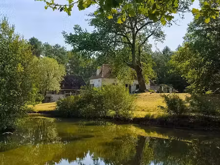 vente maison 11 pièces 272 m² à eyraud-crempse-maurens (24140)  451 500 €