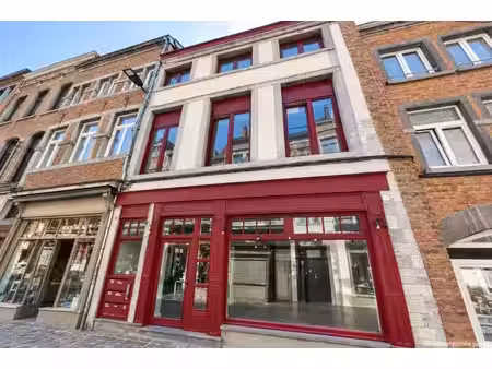 surface commerciale à louer à rue des brasseurs 19 namur (vbe76688)