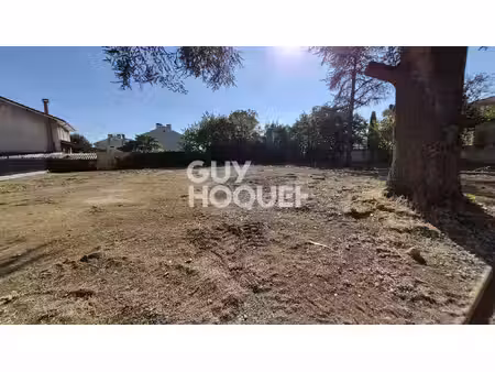 terrain