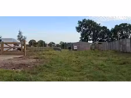 terrain à bâtir à vendre à dessel pour € 145.000
