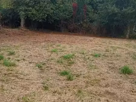 vente terrain à glomel (22110) : à vendre / glomel