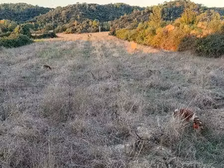 propriété agricole / domaine de chasse